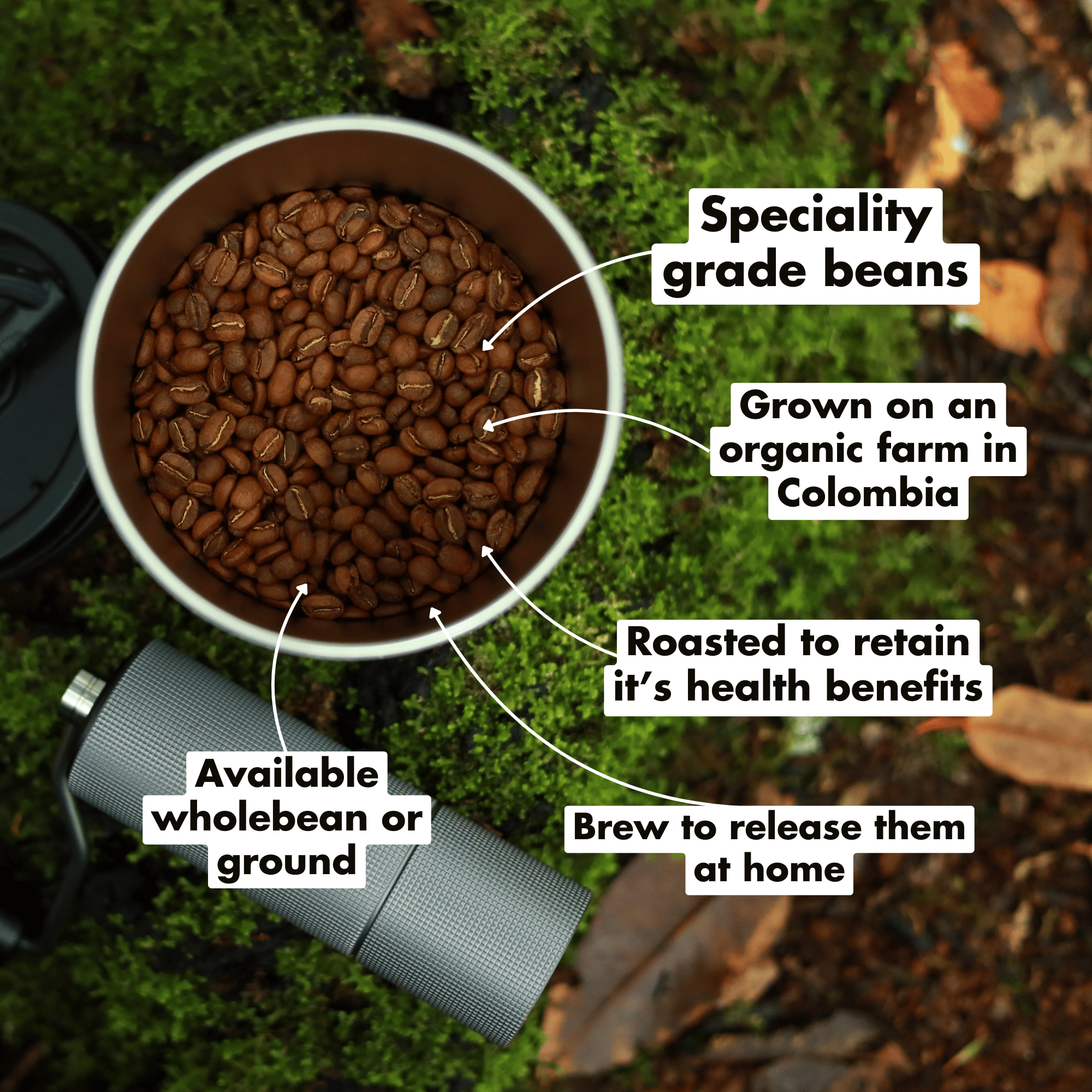 Organic Dark(ish) Roast Coffee
