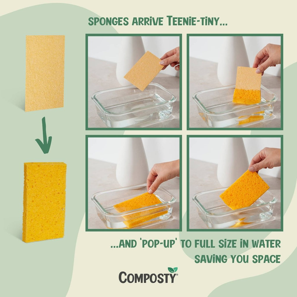 Jumbo ‘Pop-Up’ Eco Sponges – Large Size  – 3 Pack